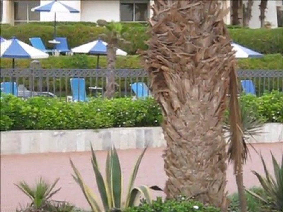 Mon film AGADIR octobre 2011 - vidéo 62
