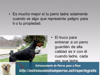 Entrenamiento de Perros Guardián