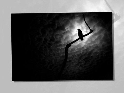 Santa Claus and Little Sister ; best novel for Christmas reading