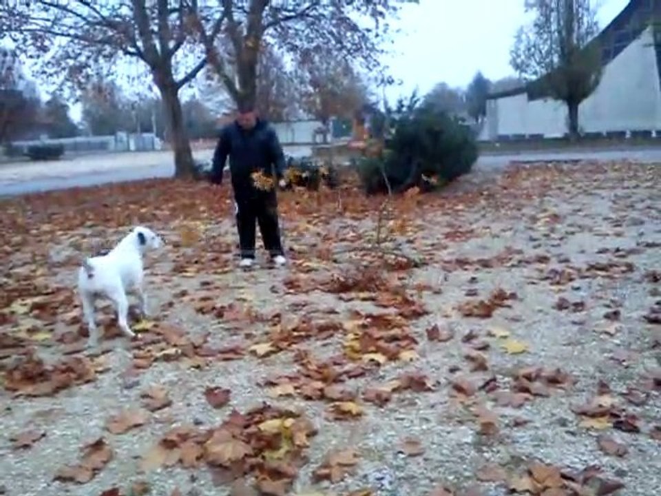 ma pepette