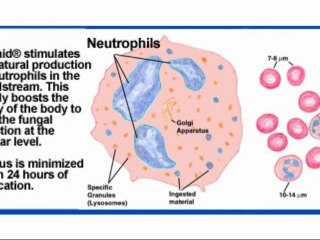 Healing Pruritus Ani without Doctors