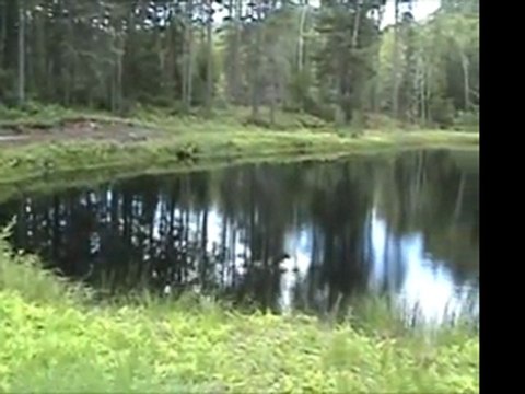 Private Estate for sale in Canada with 500 wooded acres land & 4 lakes