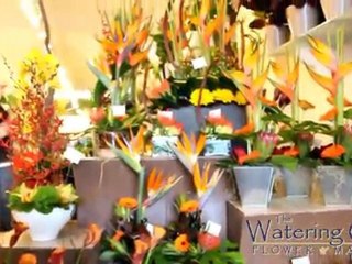 Florist Western Hill St Catharines Watering Can Flower ...
