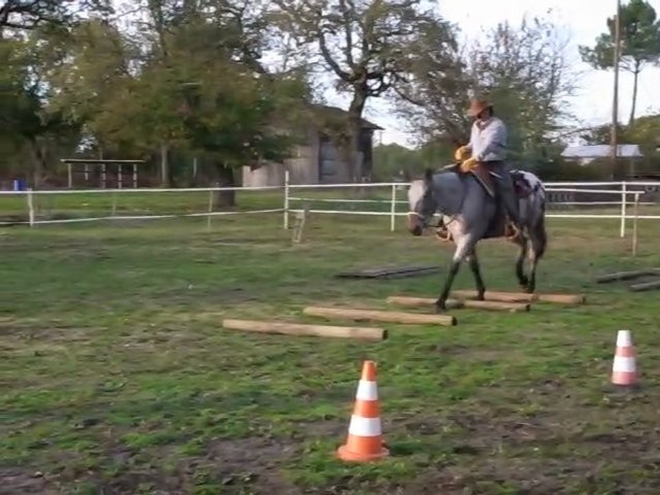 Equitation americaine par l'équithologie. EDUCATION AU  TRAIL  AVEC BOSAL SUR JEUNE CHEVAL  APPALOOSA  au ranch tinkapalo  par  Tony Clemenceau " HORSEMAN "
