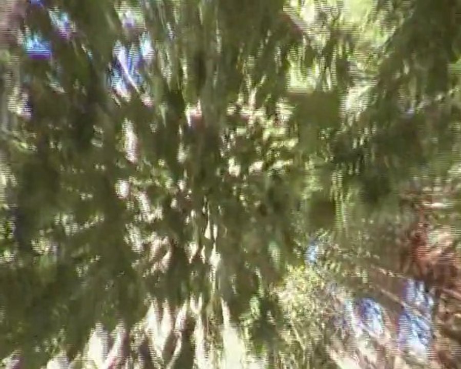 Saint Tropez 28072009 (18)