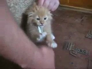 Δεν είναι εύκολο να κόψεις το τσιγάρο