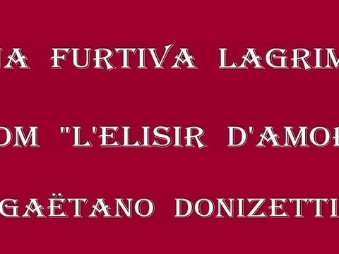 Gaëtano Donizetti - Una Furtiva Lagrima (from L'elisir d'amore)