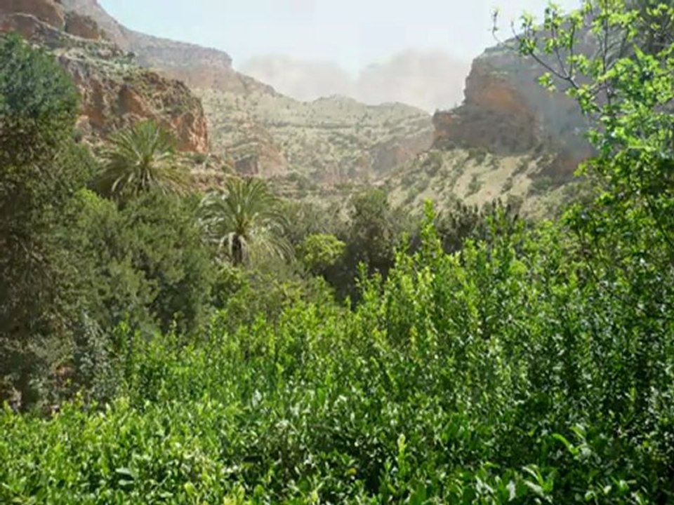 assada anti-atlas maroc