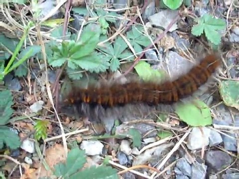 Sur le côté de la route, ne pas confondre jack kerouac and jack the ripper