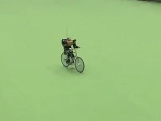Bipedal Cycling Robot