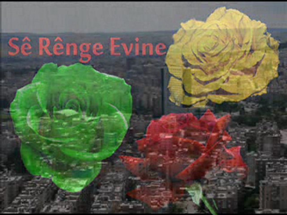 avaşin * rıha urfa