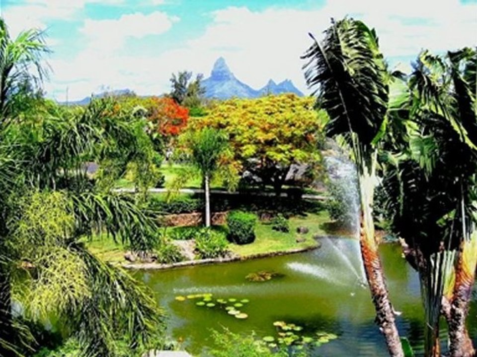 narainsamy sega