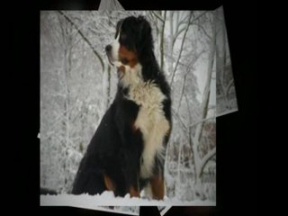 Spiritual Self Help Guides Are Different