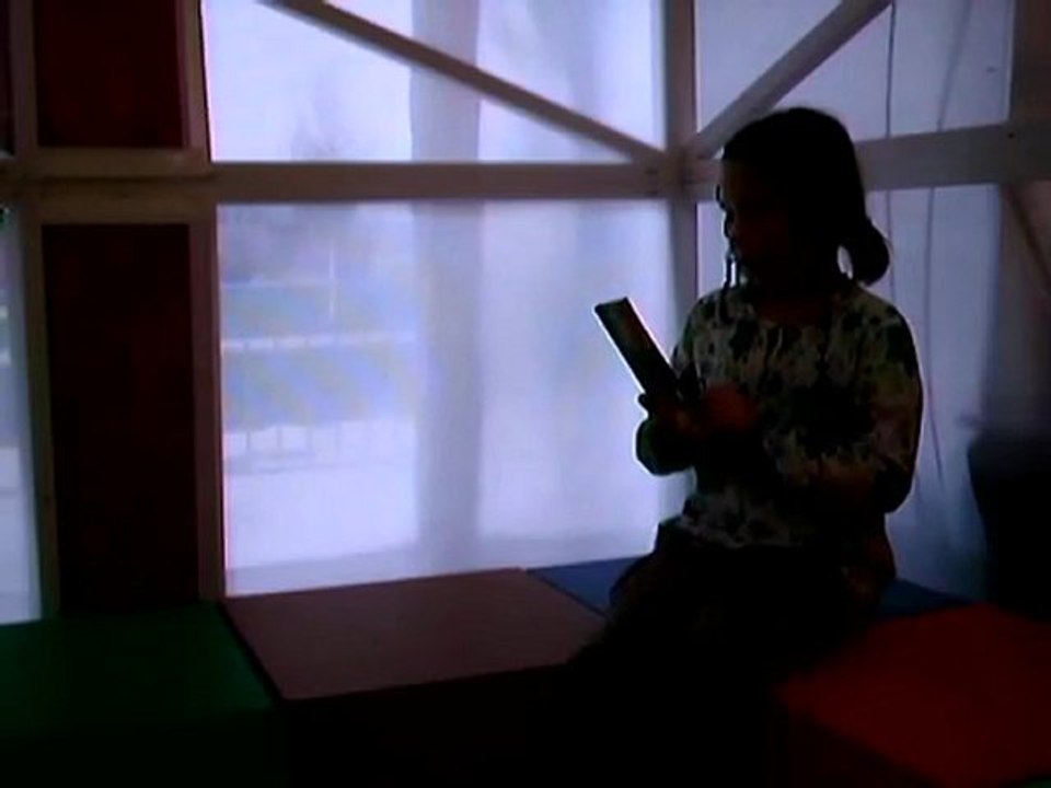 9ème salon du livre de Chaumont, L'art en lettres