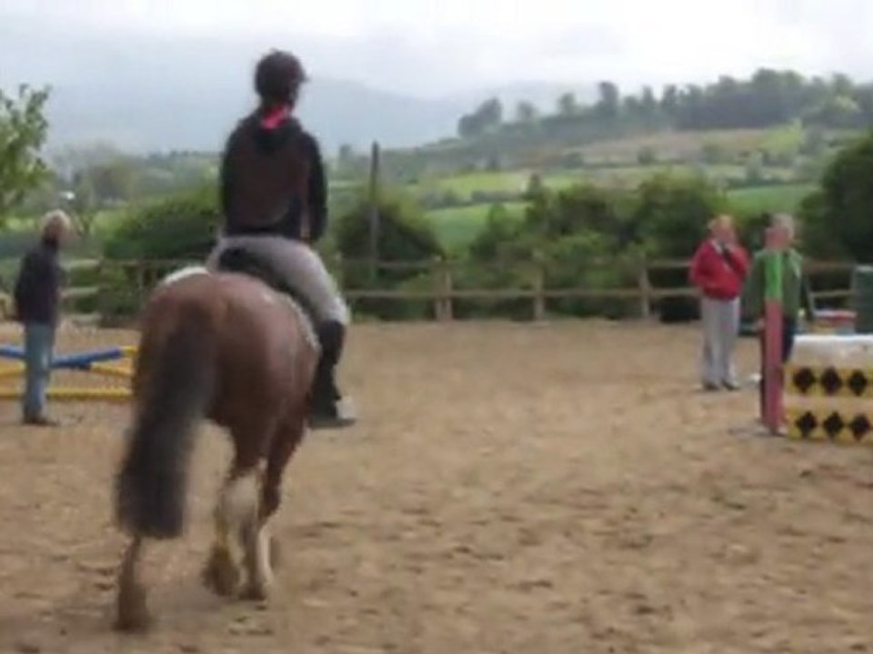 8 mai - Concours de dress/saut avec Cookie - Partie Saut.