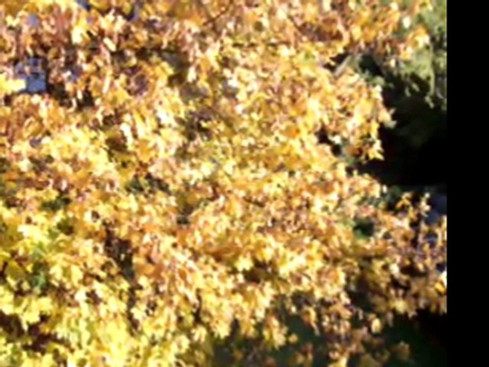 Nedim varol, Tufanbeyli, Adana, (kayınlar. 2011)