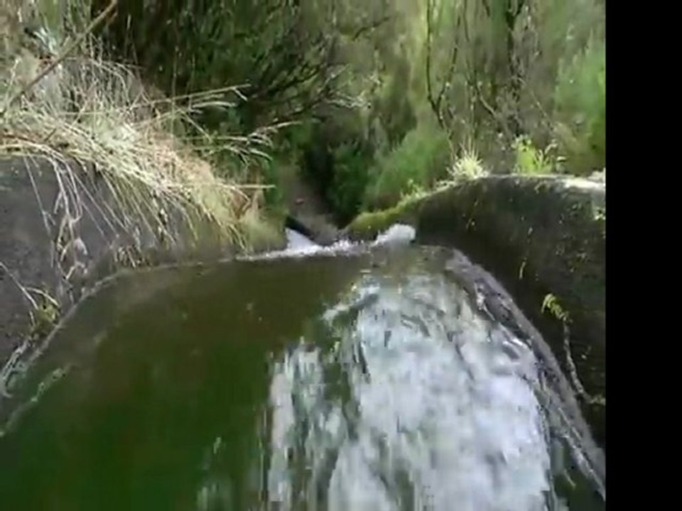 levadas treking en isla de Madeira