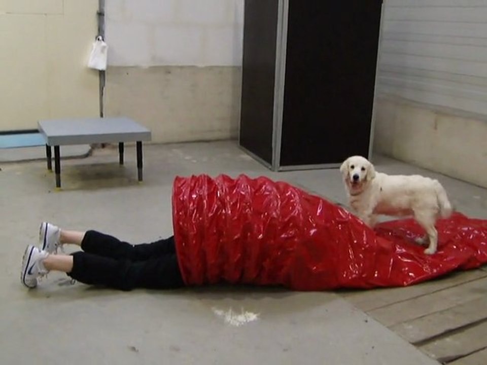 Suite de l'initiation de Melle Fidji et sa maîtresse