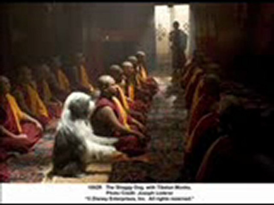 The Tibetan Dog Trailer [HD] Movie