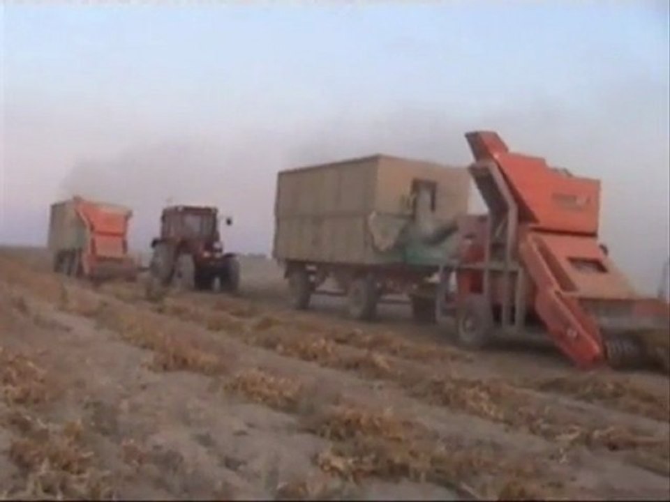 FASULYE TOPLAMA MAKİNASI (master TP01 Otomatik Toplar Harman Makinesi)