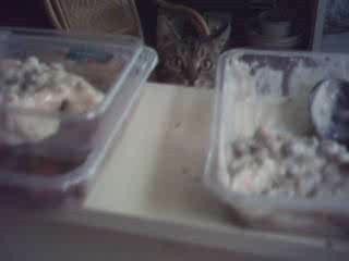 cacahuète et le vol au vent