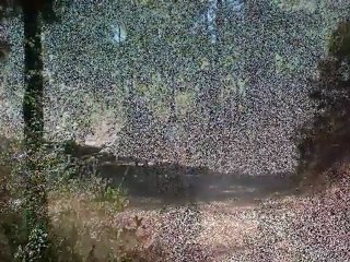 UNA VIEJA CANCION DE AMOR