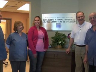 Veterinarian Moncton Riverview Riverview Animal Hospital
