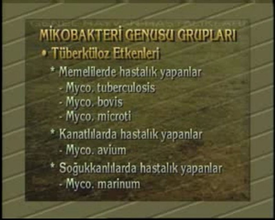 2BK