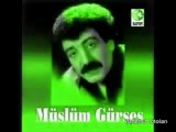 müslüm gürses-hayret