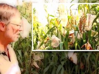 Super Heros of the Land Institute