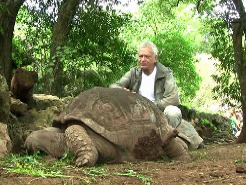 Océan Indien: Rodrigues