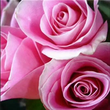 Salvatore Adamo ♫♥♪ Car Je Veux ♫♥♪