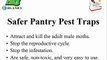 Safer Pantry Pest Trap