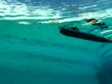 Sous-Marins RC