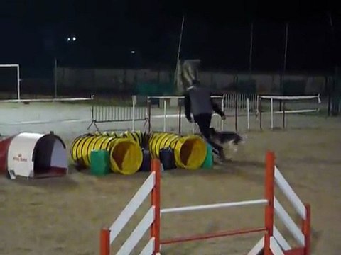 Brownie - Jumping La Bouilladisse 12.11.11