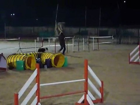 Cookie - Jumping La Bouilladisse 12.11.11