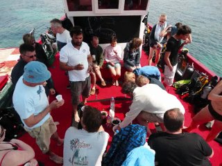 club de plongée de l'aa a SANARY