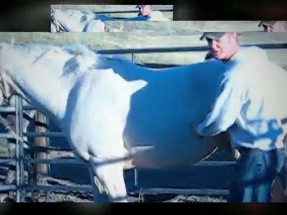 Hoof-Care-Essentials