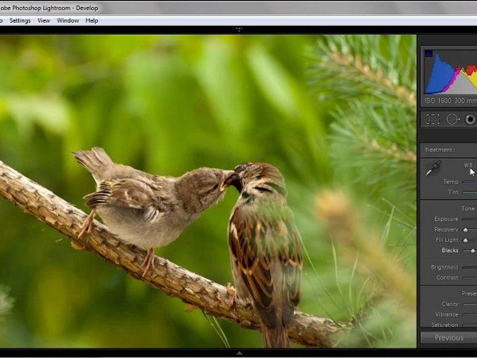 Урок 022 полного русского курса по Lightroom 2