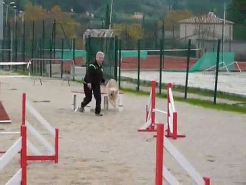 Taz - Open+ La Bouilladisse 12.11.11