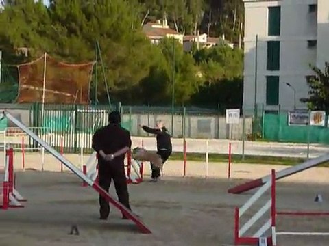 Taz - GPF La Bouilladisse 12.11.11