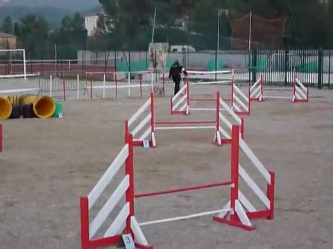 Taz - Jumping+ La Bouilladisse 12.11.11