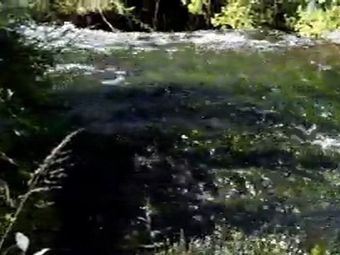 Sivas Hafik Dündar Köyü. koyunuzeev.com