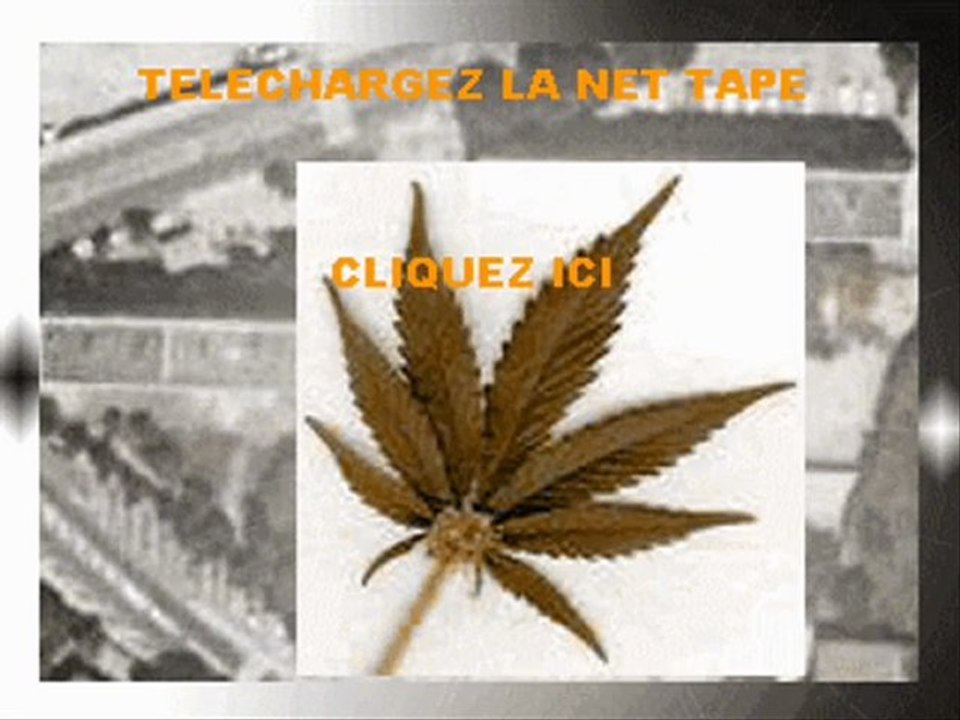 napalosum ( NIOUK ) - tu kif la hass mais c' est pas réciproque