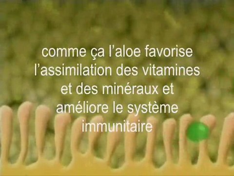 Aloe Vera nettoye en profondeur vos intestins