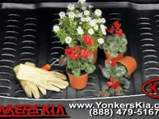 Kia Rio5 NY from Yonkers Kia