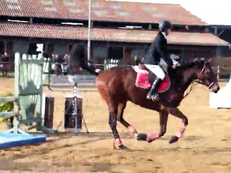 13/11/11 - CSO Loudéac:  Club1 GP - 4pts