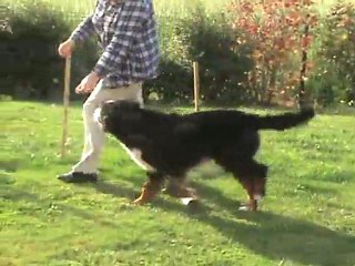 DANA fait des progrès (10)