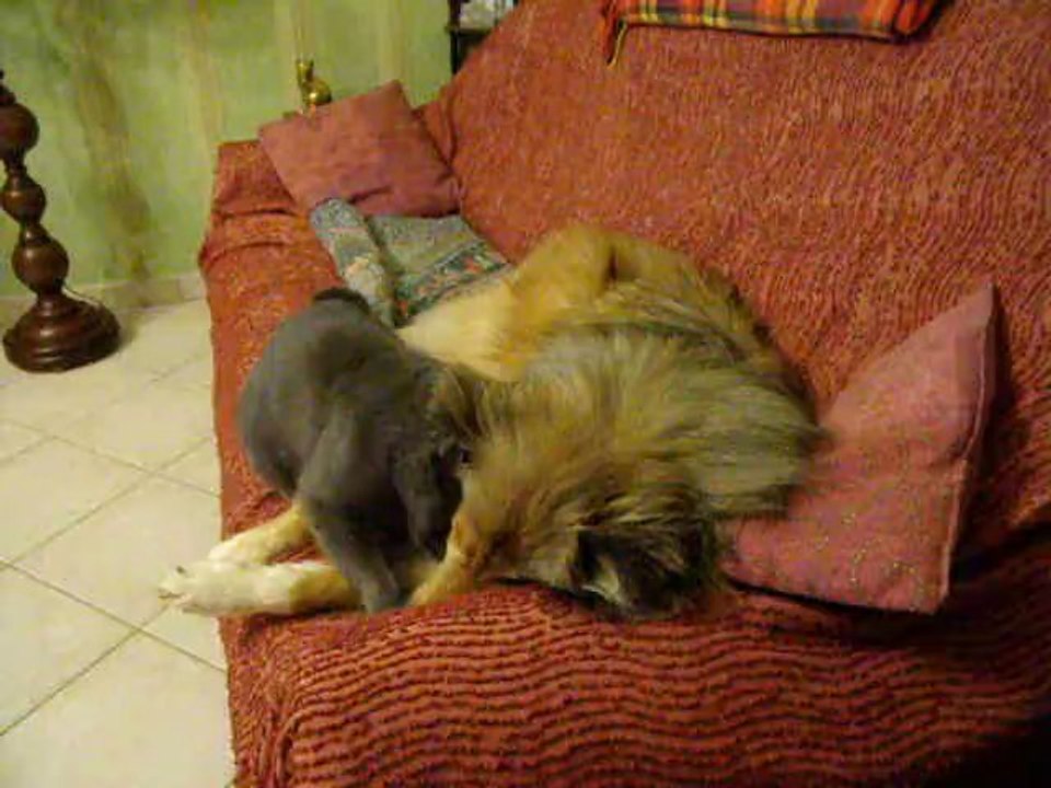 DSCF3427