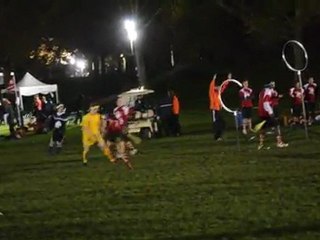 Quidditch World Cup 2011